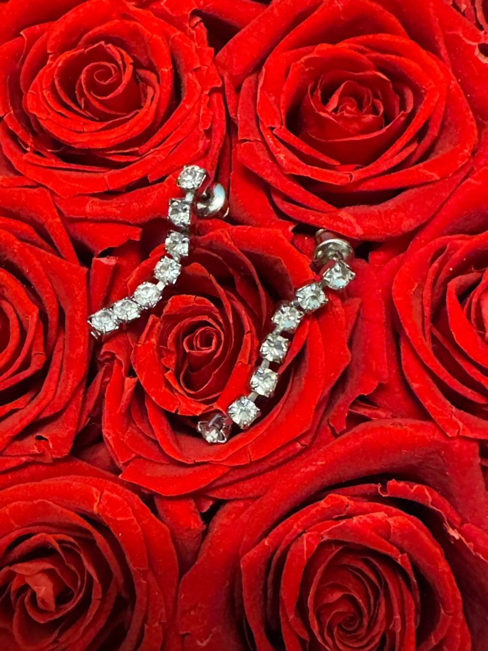 Vintage Rhinestone Drop Earrings Glam Sparkle Silver tone Statement Earrings